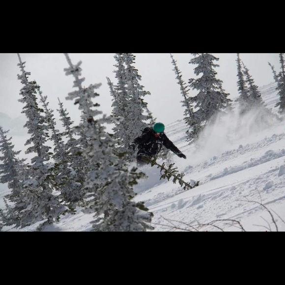 Meet your Posher, Amy - Picture 1 of 1